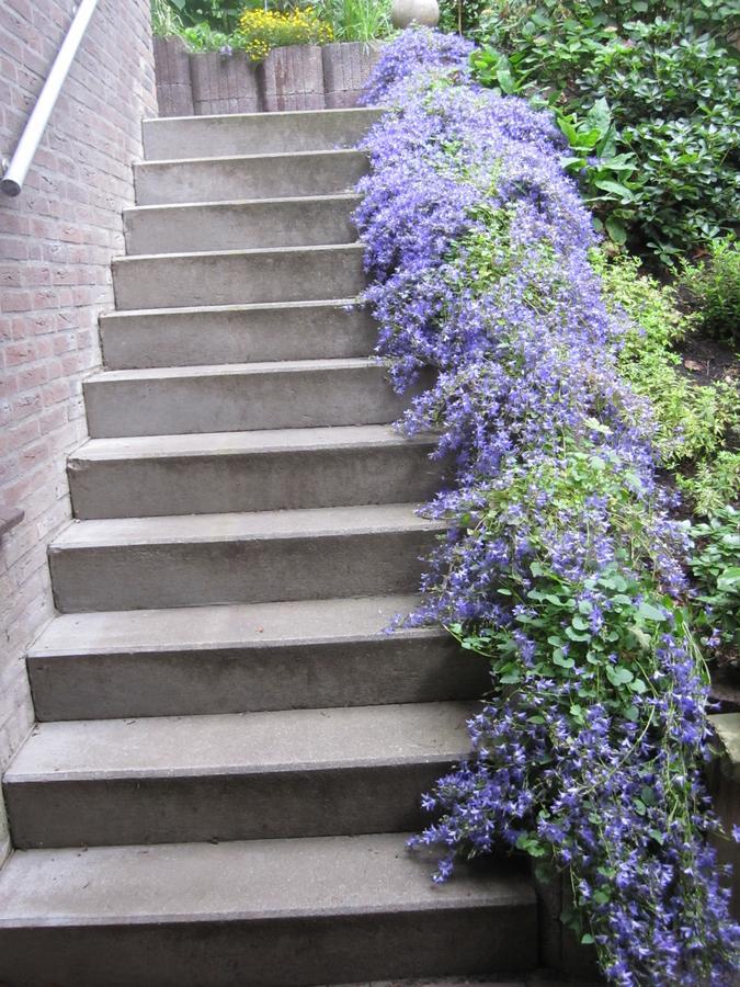 B&B De Groene Brug Delden Exterior foto